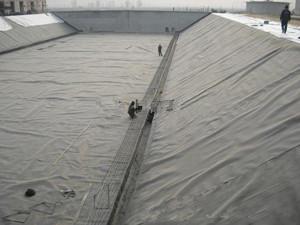 供应山东便宜养殖膜0.35鱼虾养殖膜/0.5莲藕养殖膜