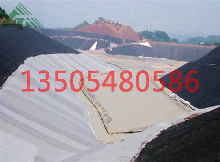 供应1.0mm黑绿双色HDPE土工膜垃圾覆盖专用环保长寿