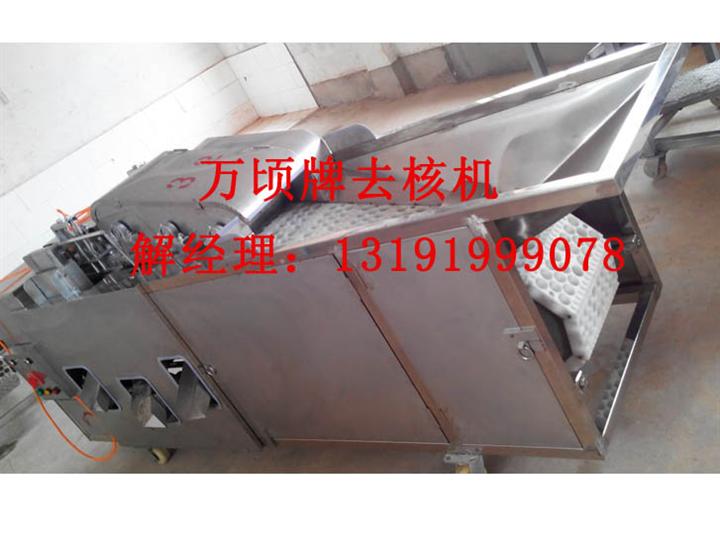 黄皮果去核机